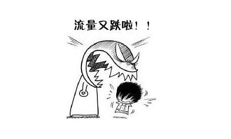 網(wǎng)站的價(jià)值，網(wǎng)站的收錄